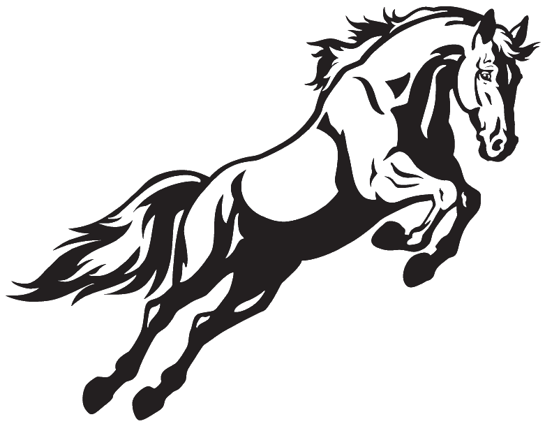 Black Horse Splash Screen